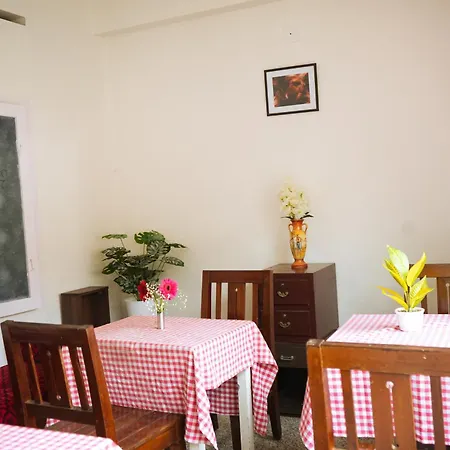 Mother Tree Inn Kochi Exterior photo