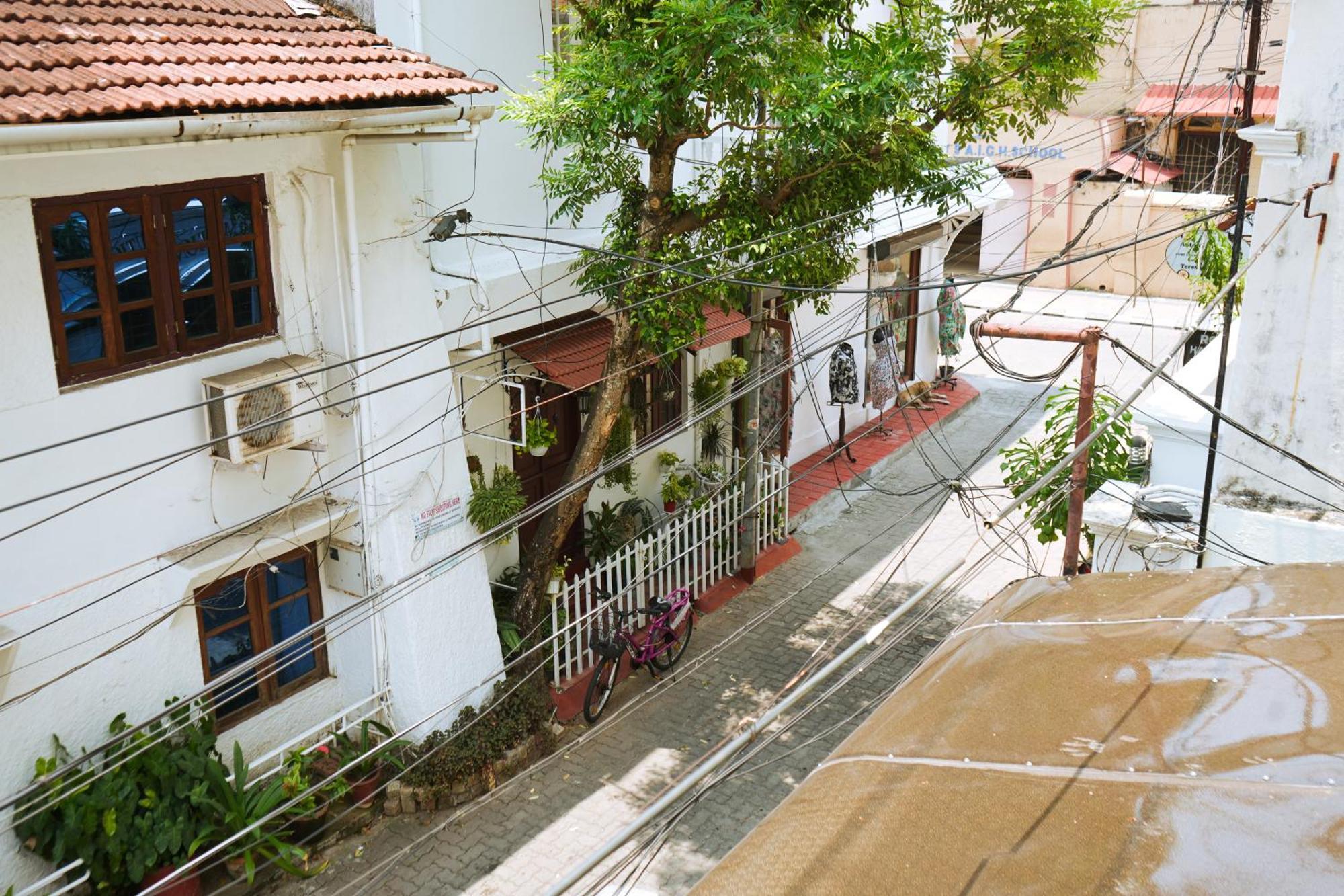 Homestay Mother Tree Kochi